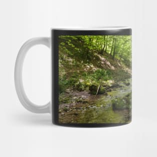 Mountain river flowing through valley Mug